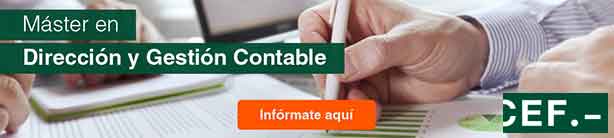 Máster Profesional de Dirección y Gestión Contable