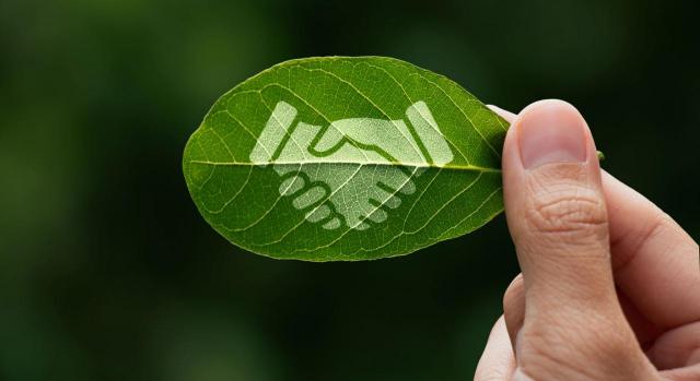 COESA, directriz no vinculante de verificación limitada de informacion de sostenibilidad COESA publica las directrices no vinculantes de verificación limitada de información de sostenibilidad. Imagen de una mano sujetando una hoja en la que unas manos entrelazadas